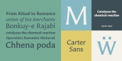 Carter Sans font download