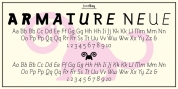 Armature Neue font download