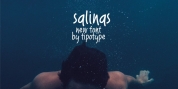 Salinas font download