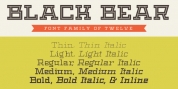 Black Bear font download