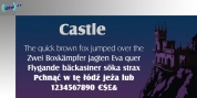 Castle font download