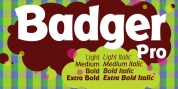 Badger Pro font download