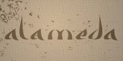 Alameda font download