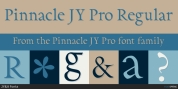 Pinnacle JY Pro font download