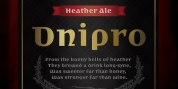 Dnipro font download