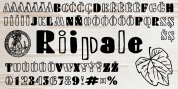 Riipale font download