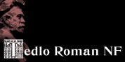 Tedlo Roman NF font download
