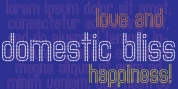 Domestic Bliss font download