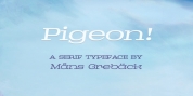 Pigeon font download