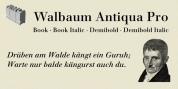 Walbaum Antiqua Pro font download