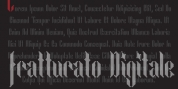 Fratturato Digitale font download