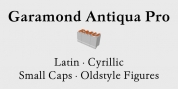 Garamond Antiqua Pro font download
