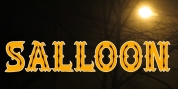 Salloon font download