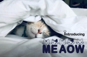 Meaow font download