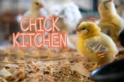 Chick Kitchen font download