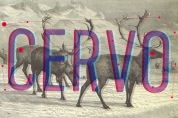 Cervo font download