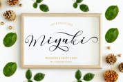Miyuki font download
