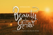 Beauty Straw font download