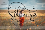 Solomiya font download
