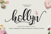 Hollyn font download