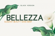 Bellezza Black font download