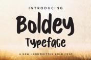 Boldey font download