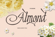 Almond font download
