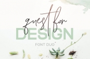 Quest for Design Family font download