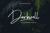 Darkwell Family font download