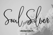 Soul Silver font download