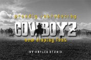 Cowboyz font download
