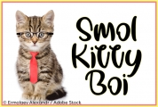 Smol Kitty Boi font download