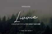 Livvie Duo font download