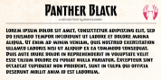 Panther Black font download