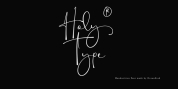 Holy Type font download