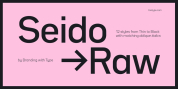 Bw Seido Raw font download