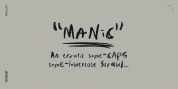 Manic Erratic font download
