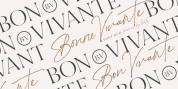 Bon Vivant Font Duo font download