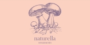 Naturella font download