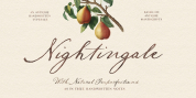 Nightingale Script font download