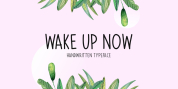 Wake Up Now font download
