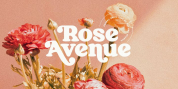 Rose Avenue font download