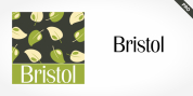Bristol Pro font download