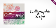 Calligraphic Script Pro font download