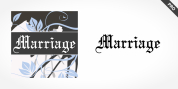 Marriage Pro font download