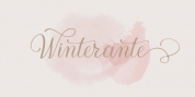 Winterante font download