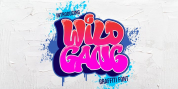 Wild Gang Graffiti font download