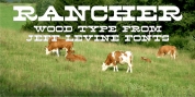 Rancher JNL font download