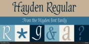Hayden font download