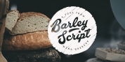 Barley Script font download